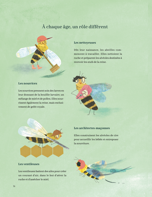 Reine Melliféra et la vie des abeilles